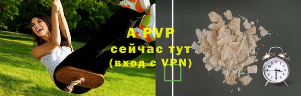 винт Алексин