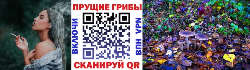 где можно купить наркотик  Саров  даркнет какой сайт  Галлюциногенные грибы мухоморы  ОМГ ОМГ как войти 